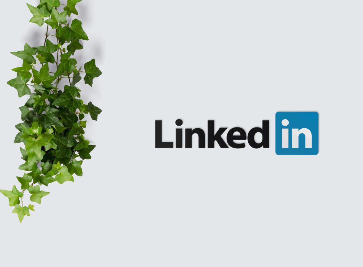 LinkedIn a specjaliści