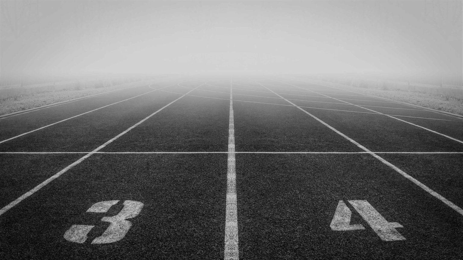 SEO dla branży sportowej. Dowiedz się co jest ważne!