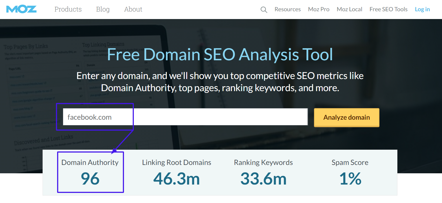 Jak tworzyć zaplecze SEO? Rady pozycjonerskie