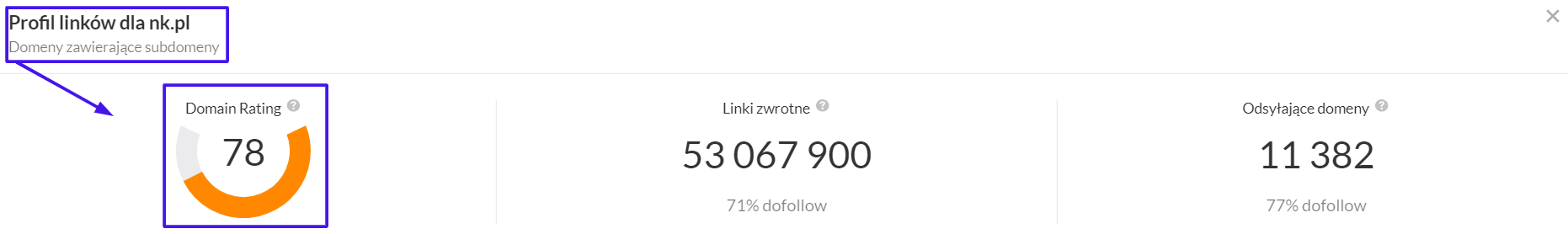 Jak tworzyć zaplecze SEO? Rady pozycjonerskie
