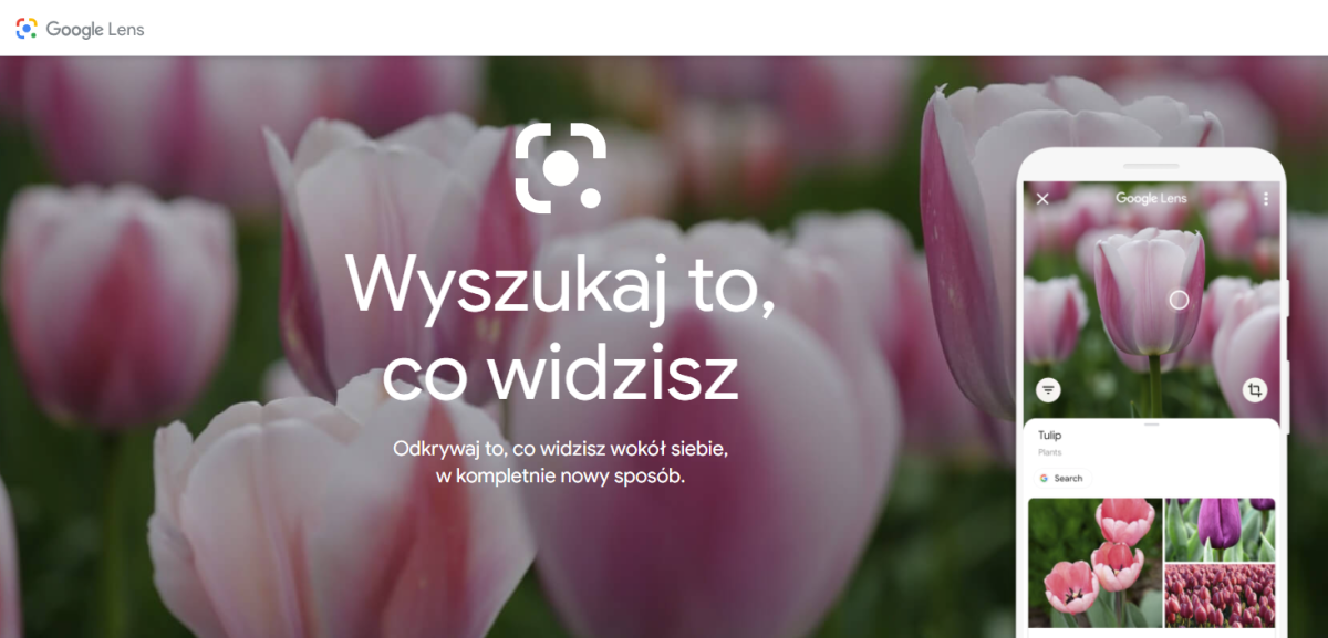 Narzędzia od Google, o których mogłeś nie wiedzieć