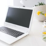 Reklama kwiaciarni w Internecie – Poradnik