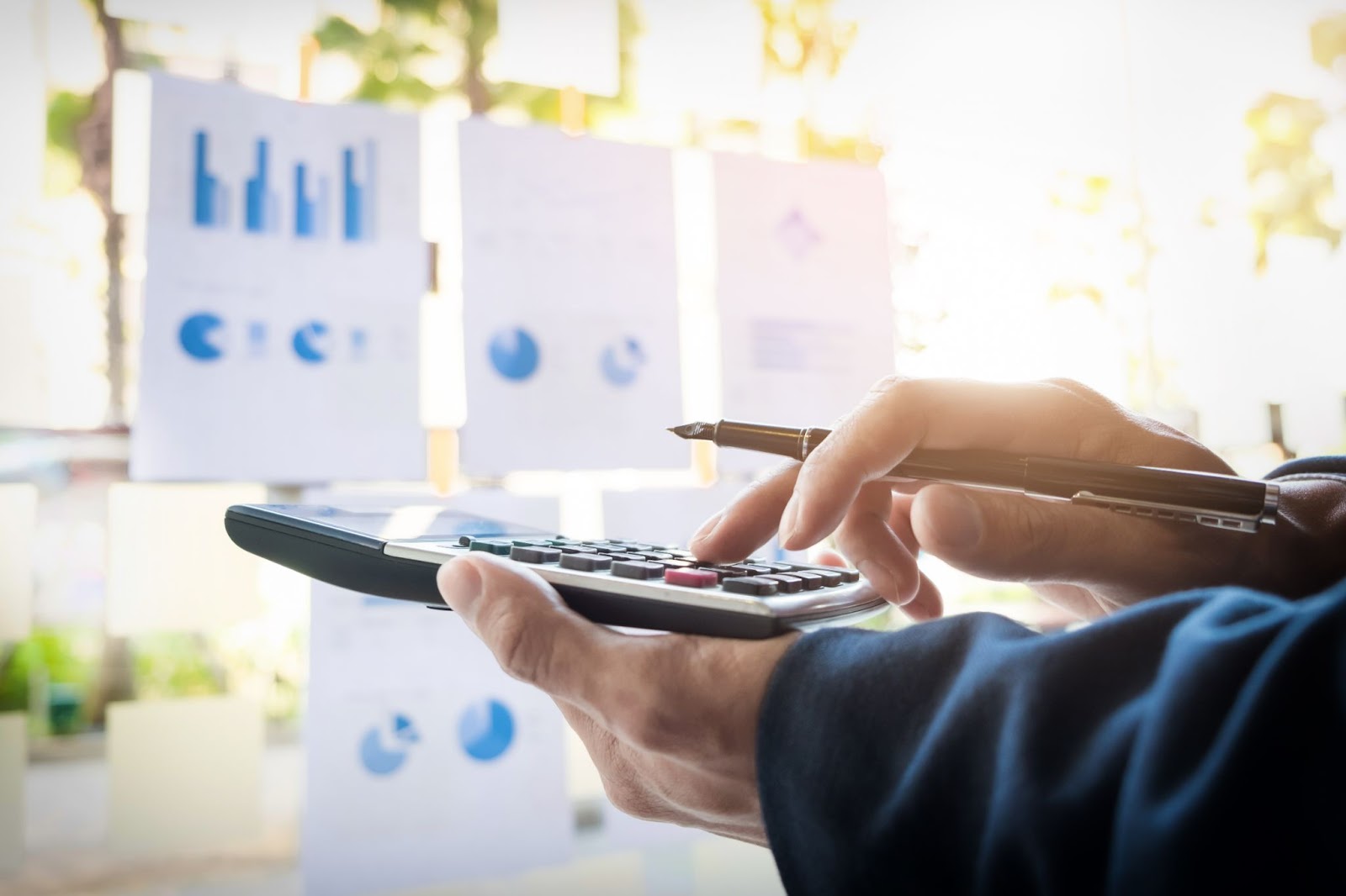 Pozycjonowanie Profitroom – Poradnik SEO