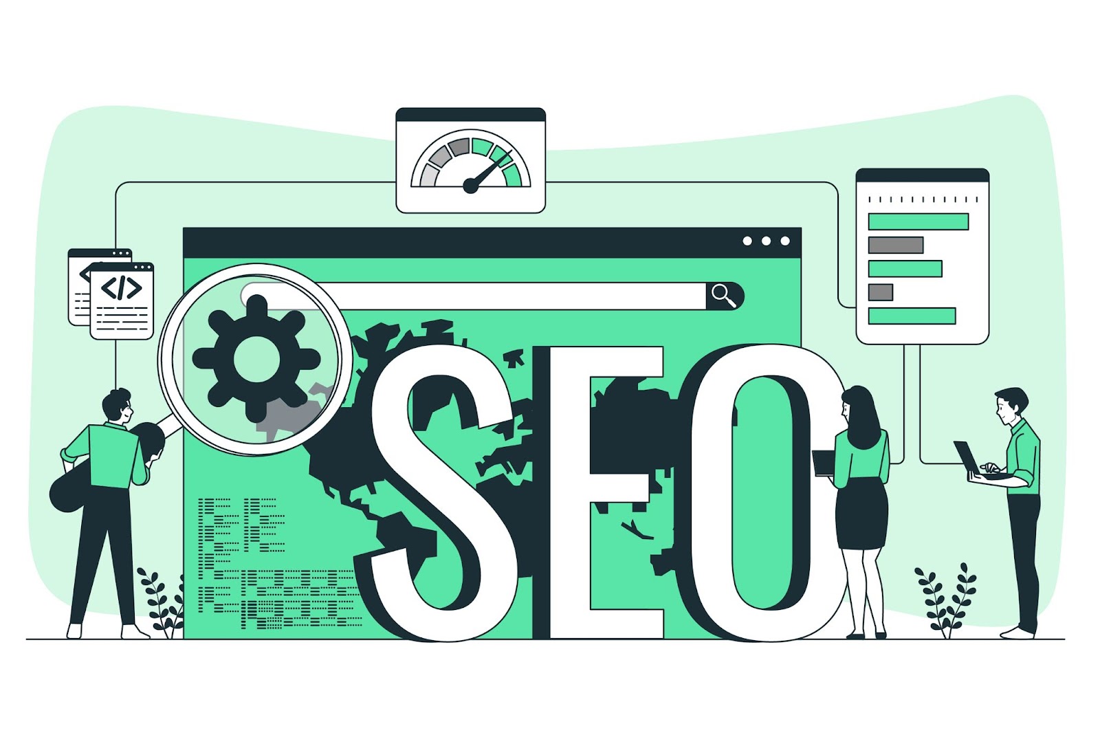 Programy SEO dla amatorów i profesjonalistów