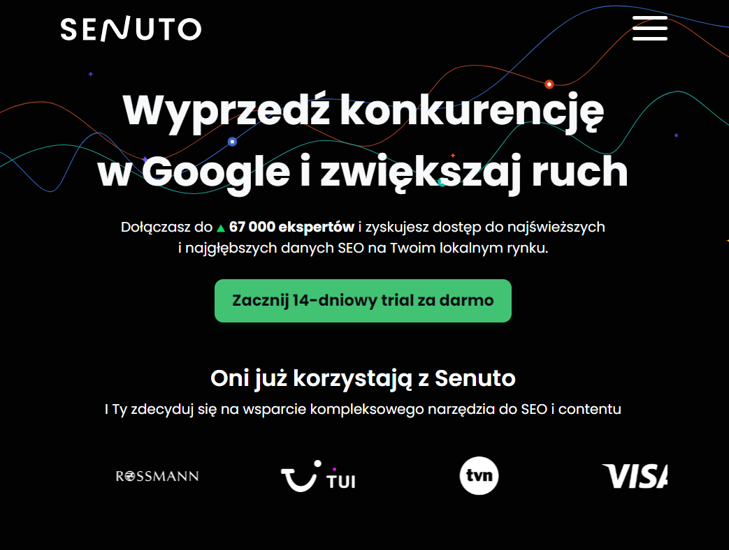 Programy SEO dla amatorów i profesjonalistów