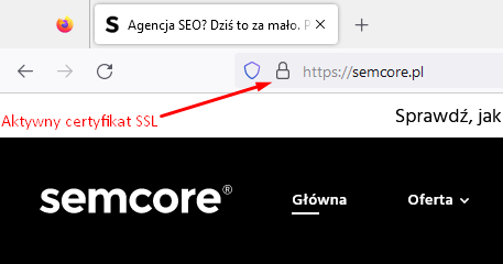 Strona internetowa w 2023 – jak prowadzić i stworzyć stronę internetową?