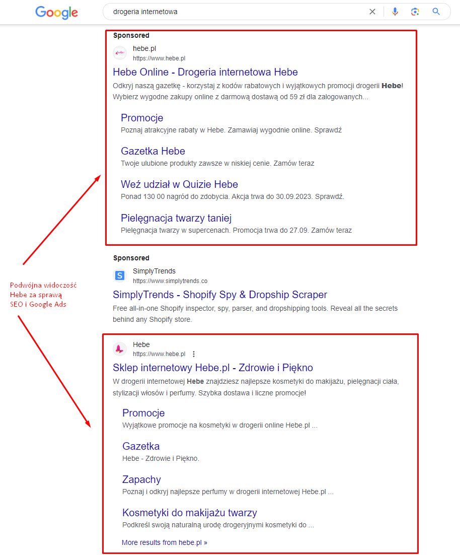 Kampanie Google Ads – jak prowadzić? [Poradnik]