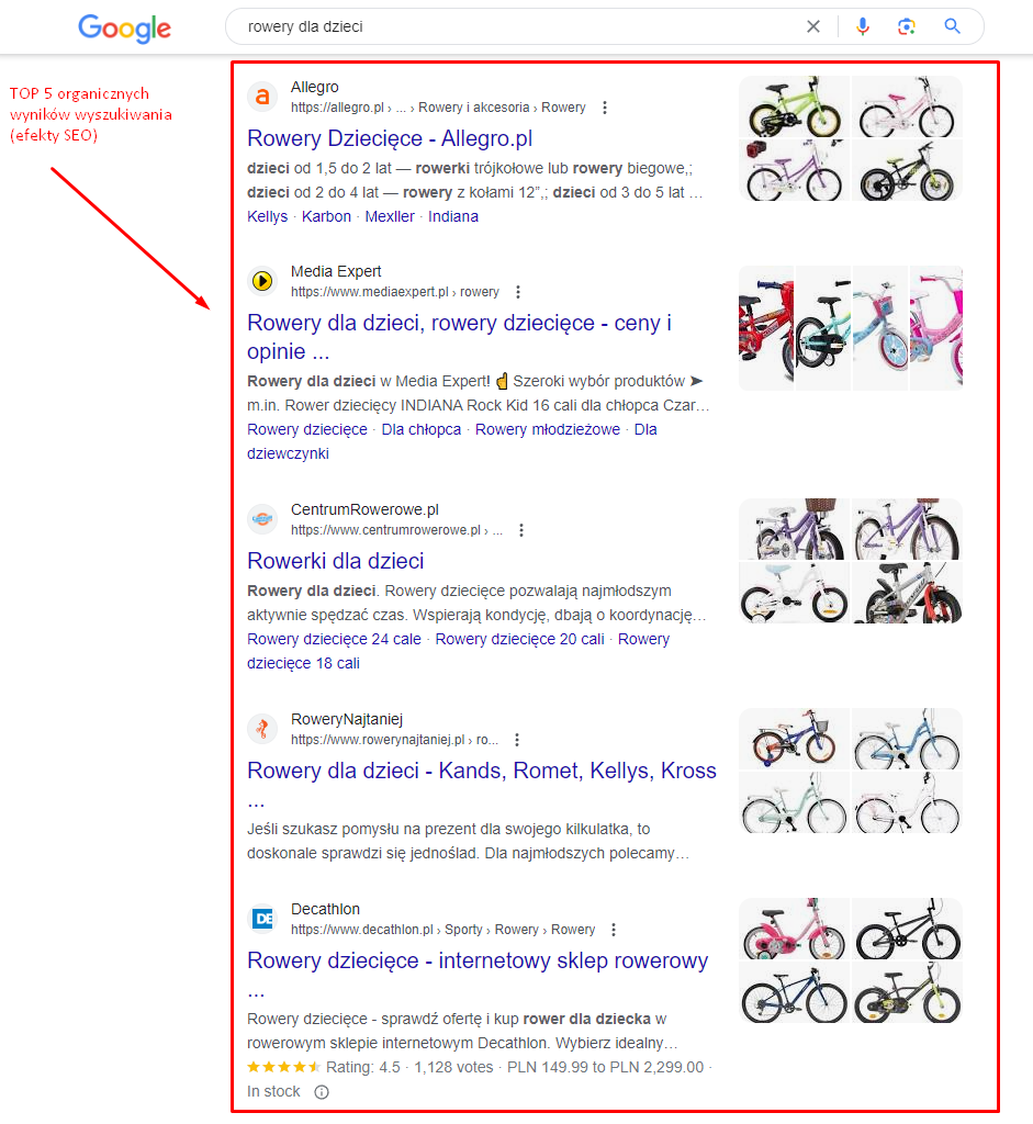 Trendy SEO - najważniejsze informacje
