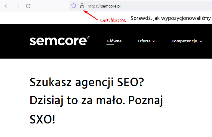 Trendy SEO - najważniejsze informacje