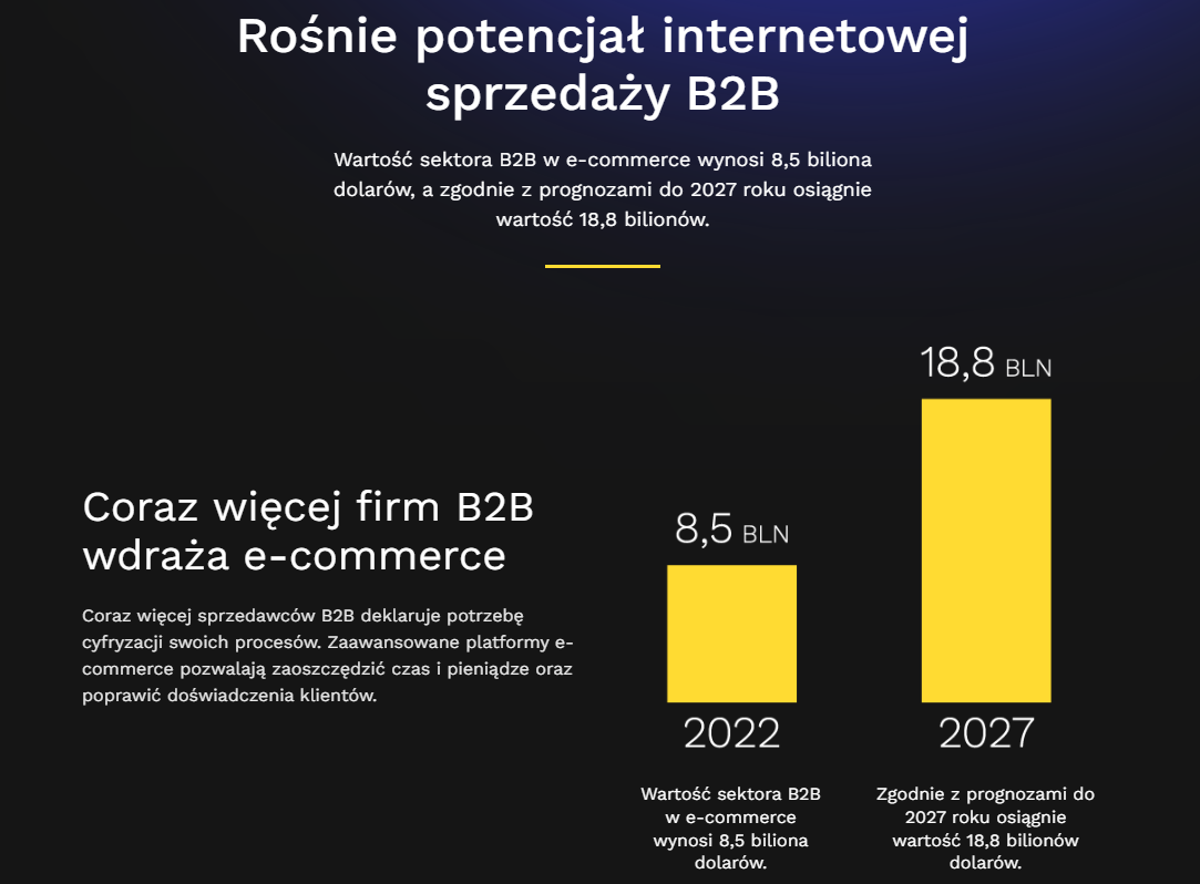 Platforma B2B – co to jest i jak korzystać?