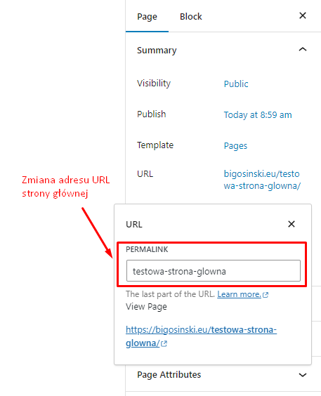 Jak stworzyć stronę główną w WordPress?