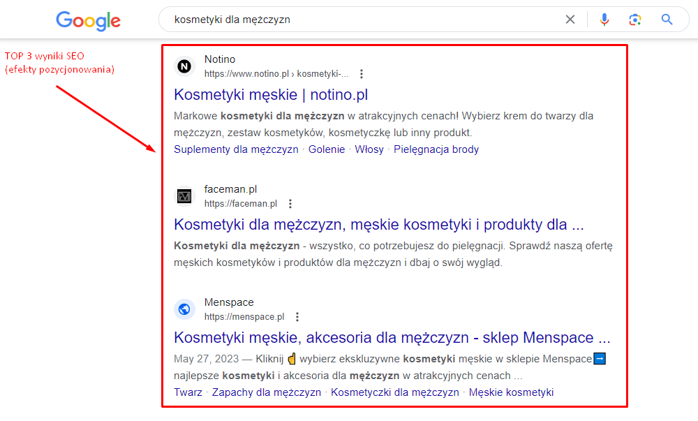 SEO w różnych branżach – przegląd