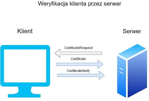 Jaki SSL wybrać pod Wordpressa?