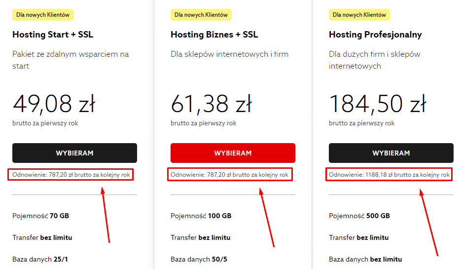 Polski hosting czy zagraniczny? Co wybrać i dlaczego?