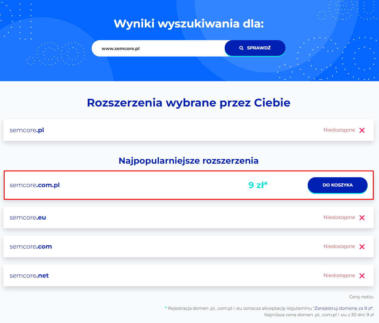 Wykupienie domeny krok po kroku