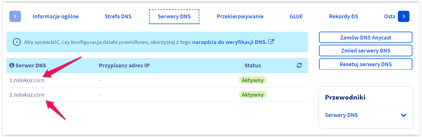Jak przeprowadzić konfigurację DNS strony?