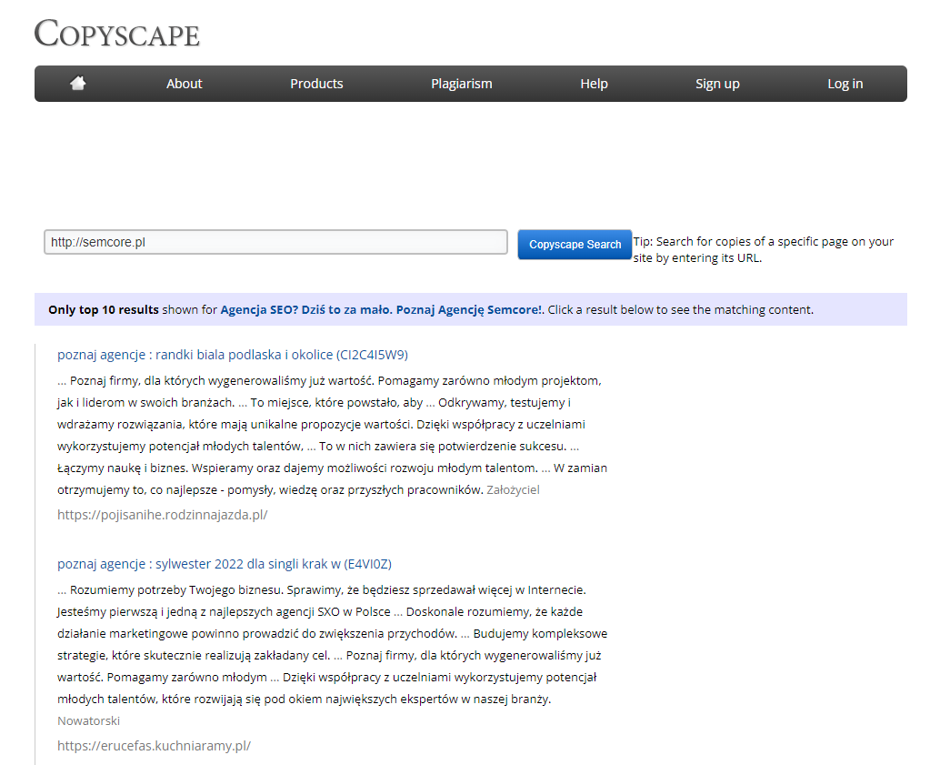 Jak tworzyć opisy produktów w sklepie internetowym? [SEO] - Poradnik