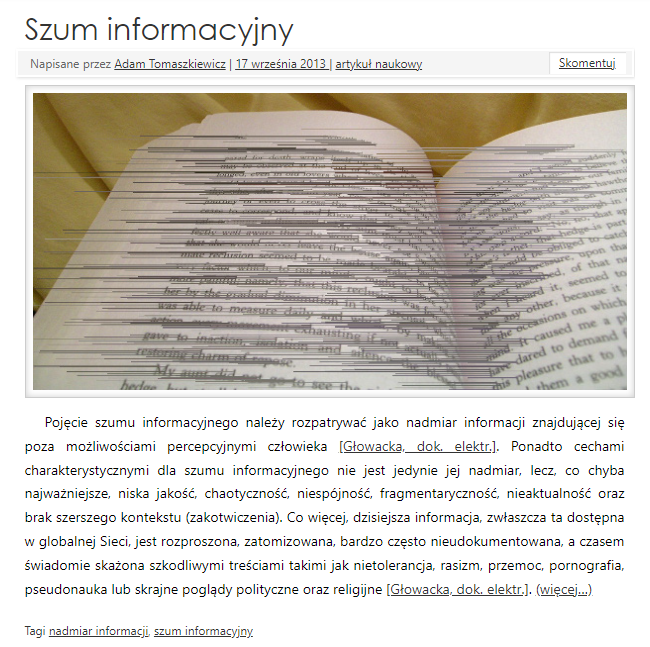 Szum informacyjny – czym jest i jak działa?