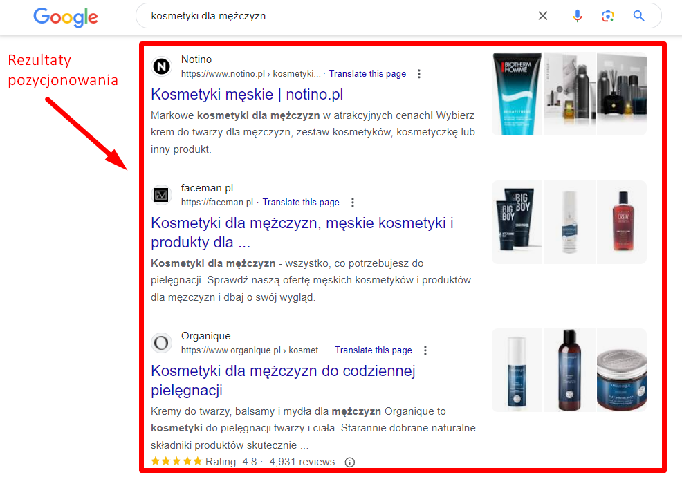 rezultaty pozycjonowania