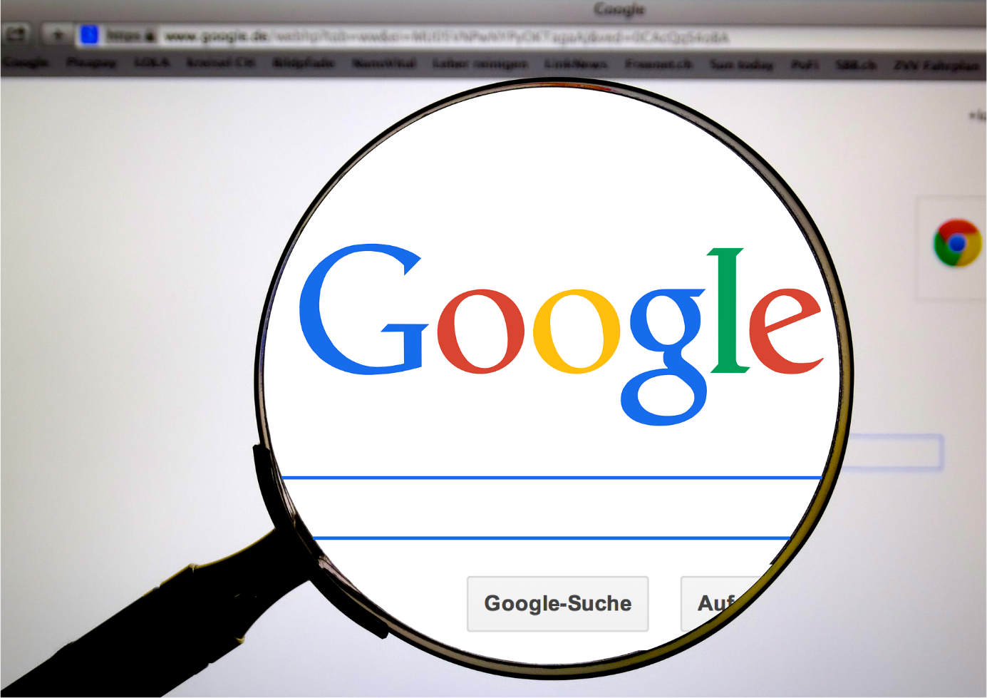 Top wyszukiwania w Google w Polsce w 2023 roku - co było na topie?