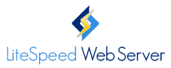 Litespeed vs Nginx - który rodzaj hostingu jest najlepszy?