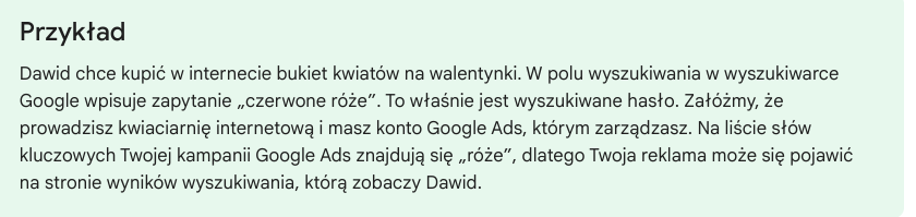 Raport wyszukiwanych haseł w Google Ads — czym jest i jak go wygenerować?