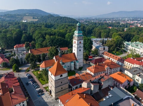 pozycjonowanie żywiec