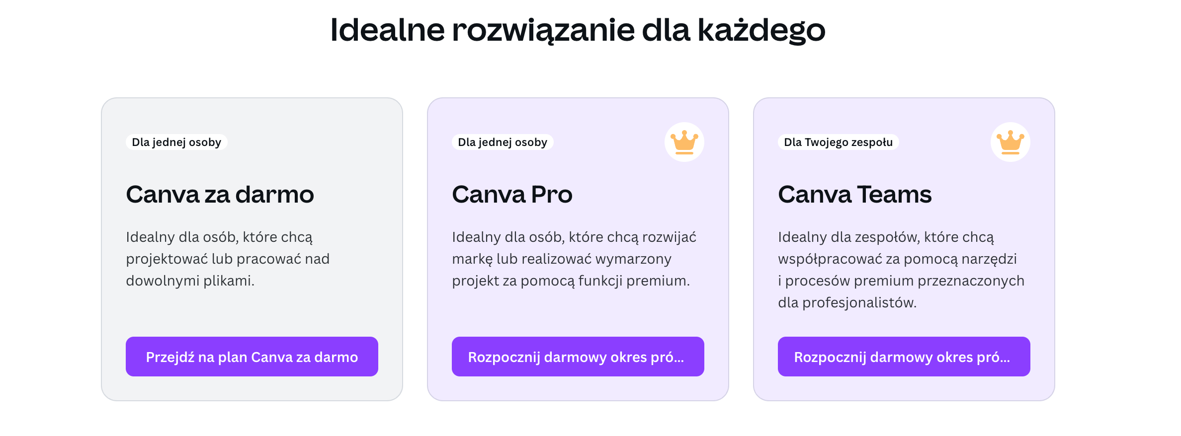 Canva - co to za narzędzie i w jaki sposób z niego korzystać?