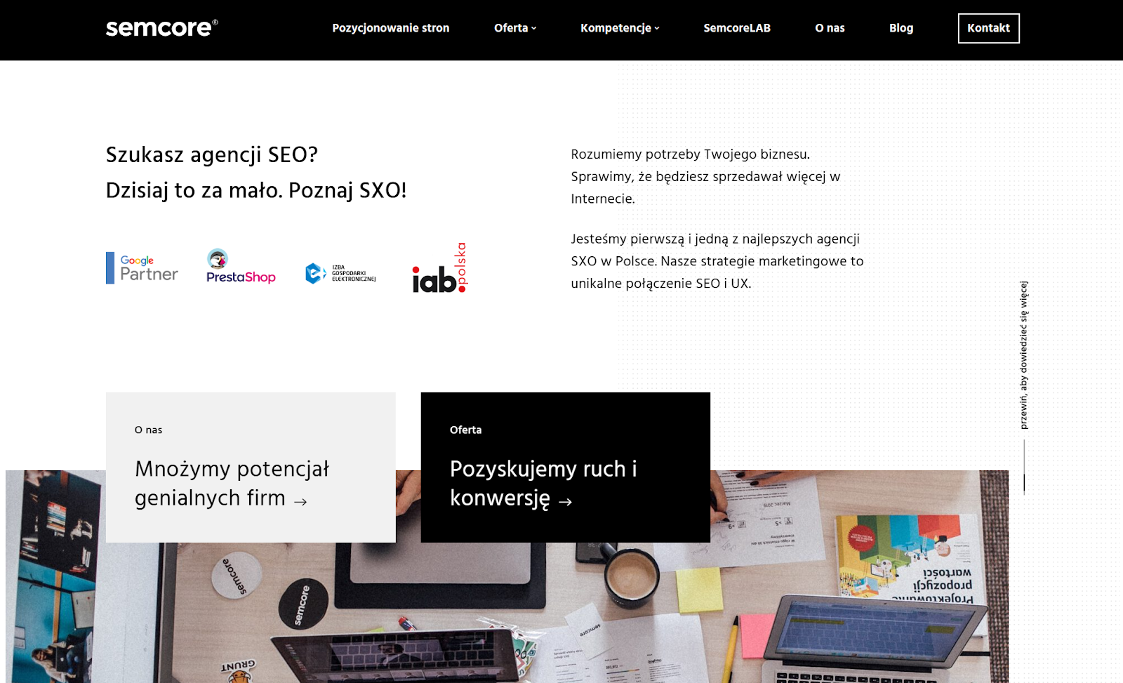Witryna internetowa