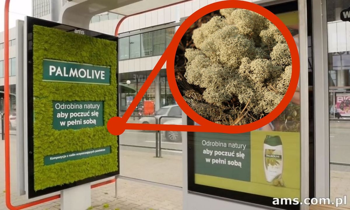 Greenwashing