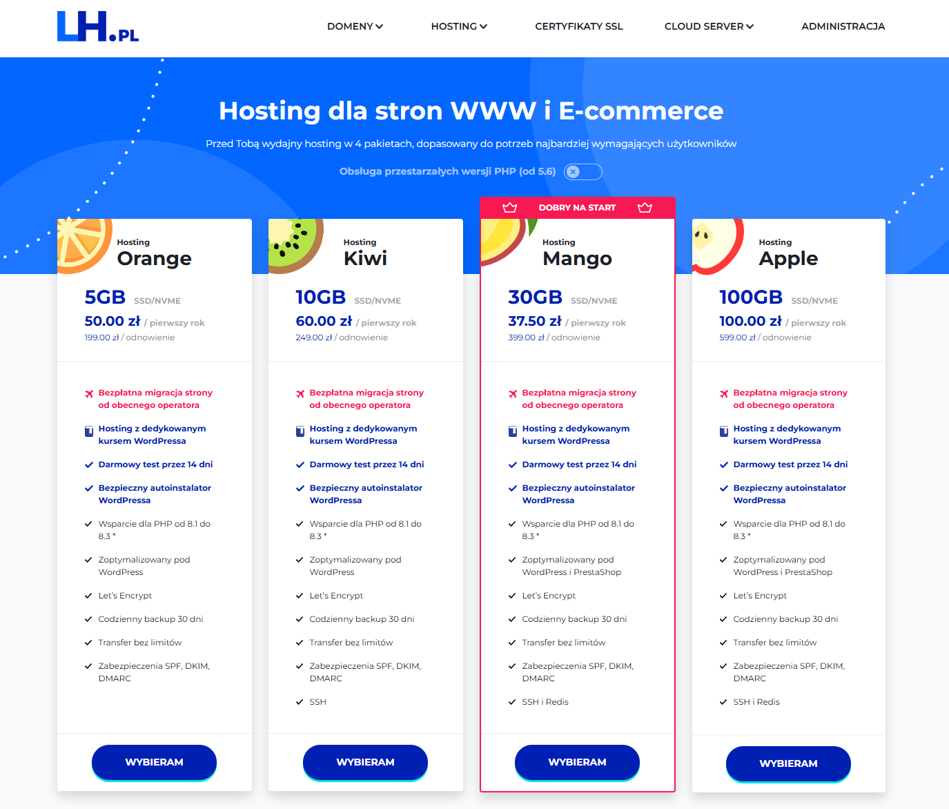 Witryna internetowa
