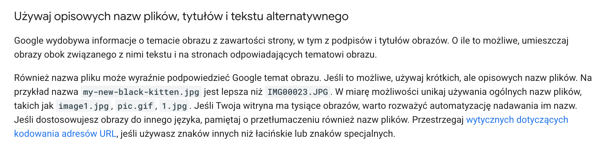 Pozycjonowanie grafiki w Google – Jak zwiększyć widoczność obrazów?