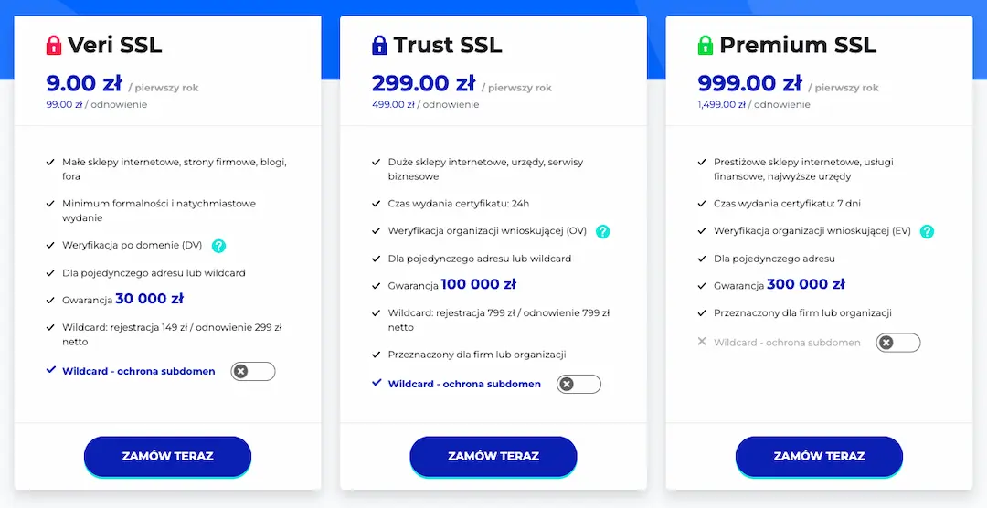 Koszt utrzymania strony internetowej w 2025 roku